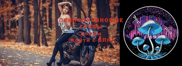 мдпв Беломорск