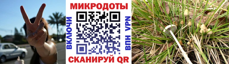 купить  сайты  hydra зеркало  Галлюциногенные грибы Cubensis  Черноголовка 